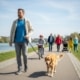 Leinen- und Maulkorbzwang Christian Willmann Versicherungsmakler Mannheim
