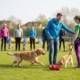 Teilnahme an einer Hundeschule Christian Willmann Versicherungsmakler Mannheim